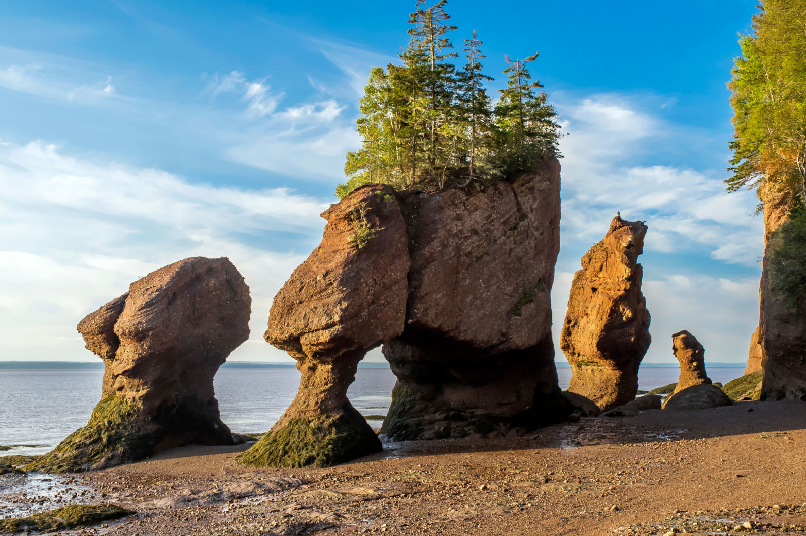 New Brunswick