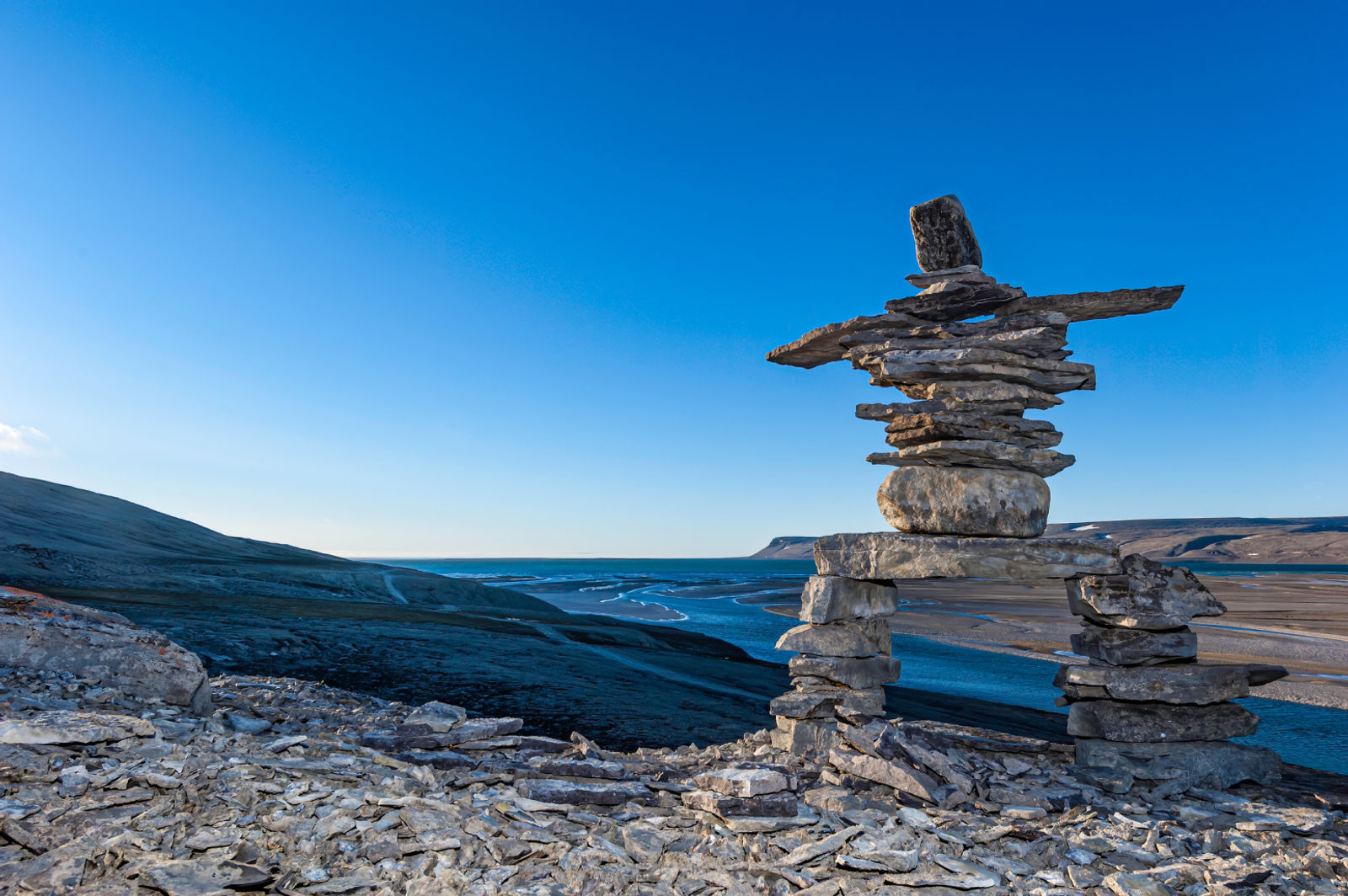 Discover online vet care from Nunavut