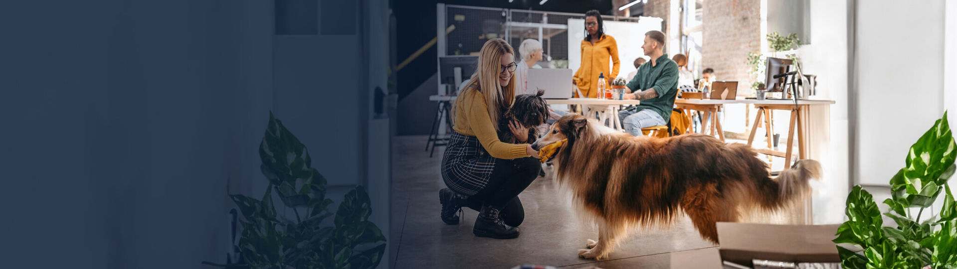 Woman playing with a dog in workplace