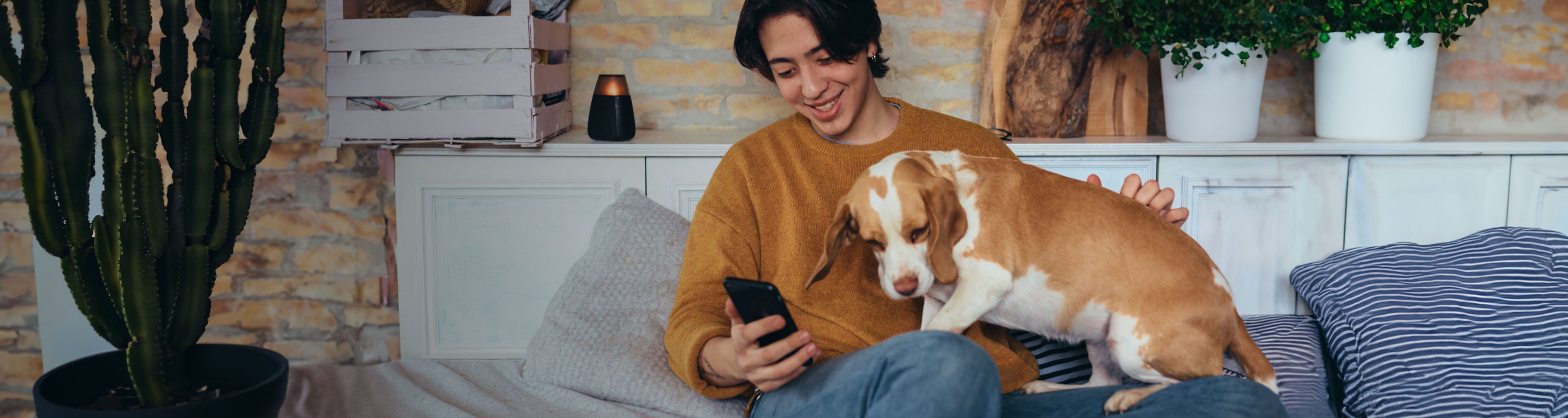 Où vit la santé des animaux