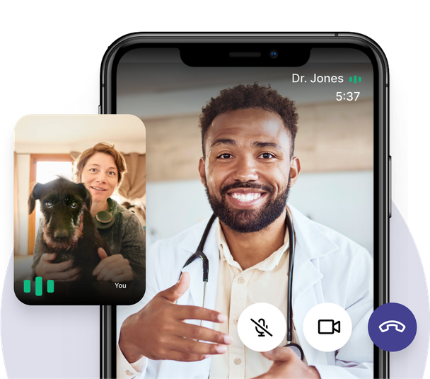 Interface demonstration of pet parents talking to veterinarian through video call