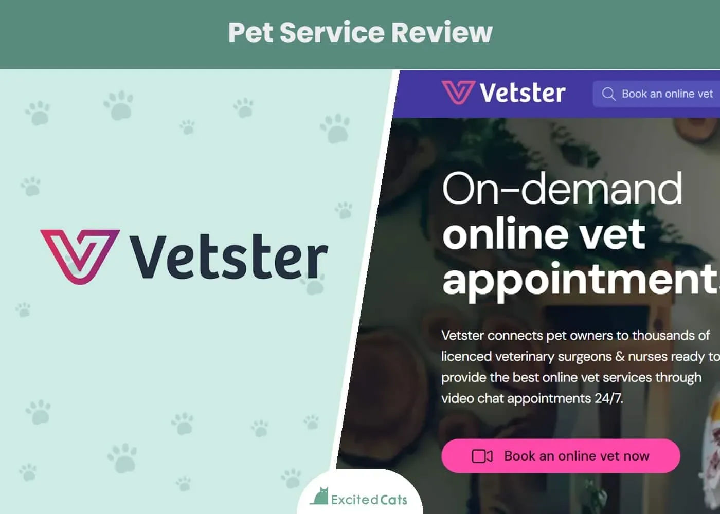 https://images.vetster.com/vetster_Pet_Service_Review_SAPRFTIMG_d4739ba2b6.webp