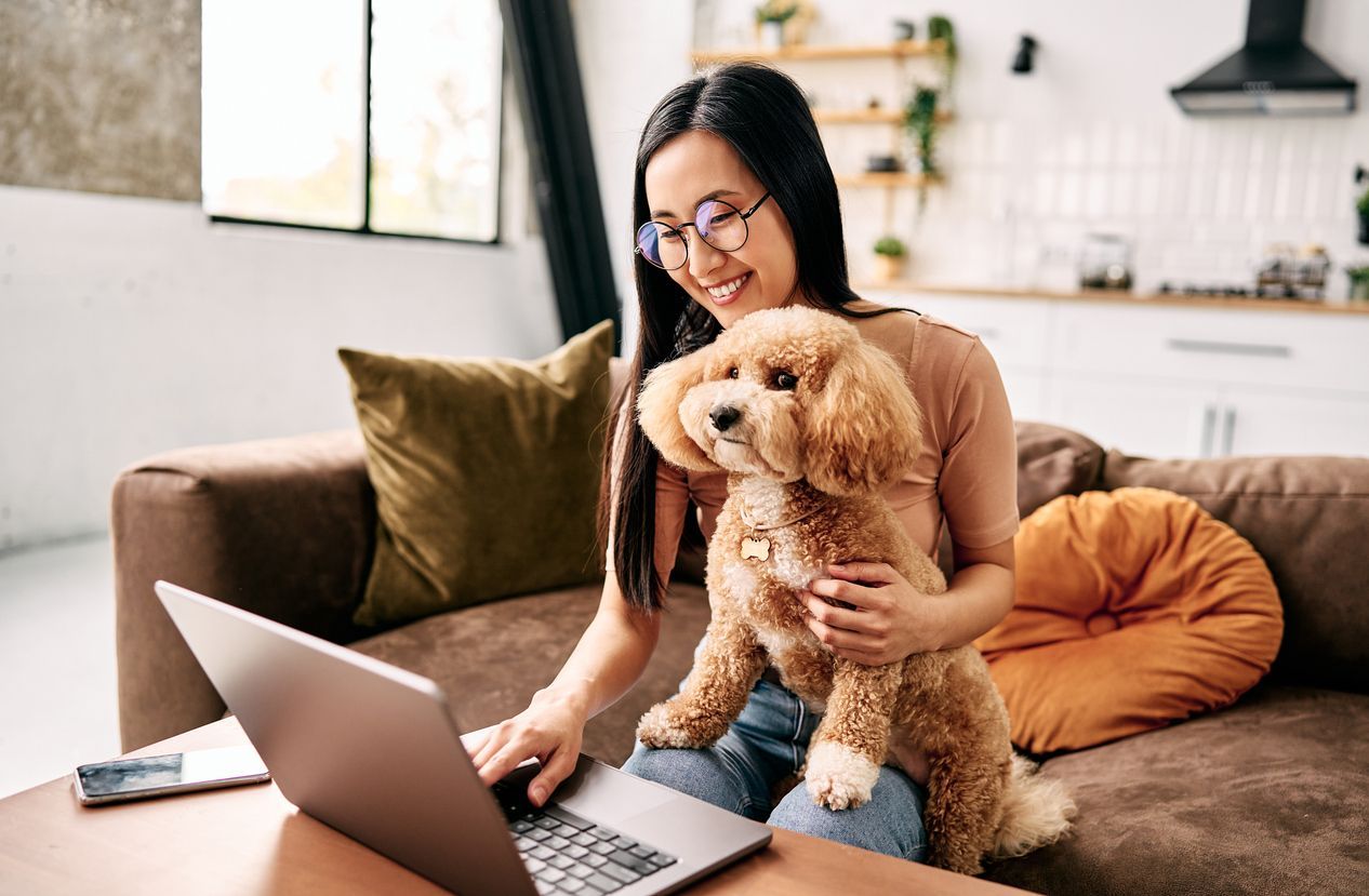 How do online vet prescriptions work? Cost, rules, and how to fill one - Smiling woman using a laptop while holding her apricot poodle on the couch at home.