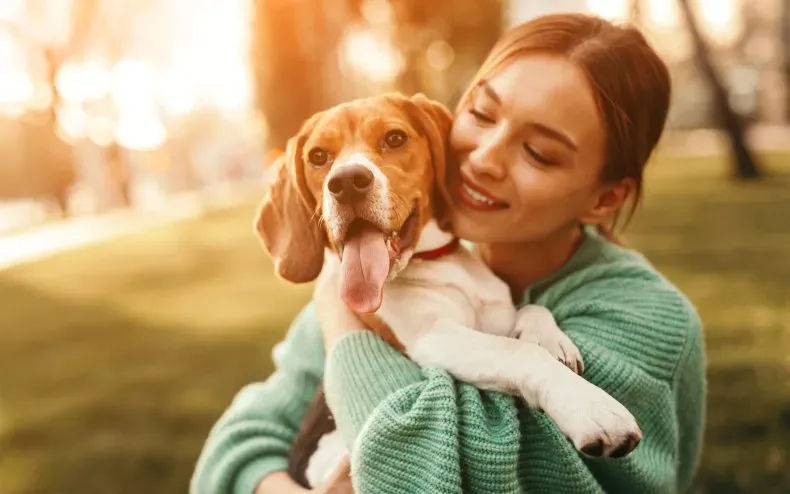 Your Dog's Favorite Way To Be Cuddled, From A Veterinarian - Vetster