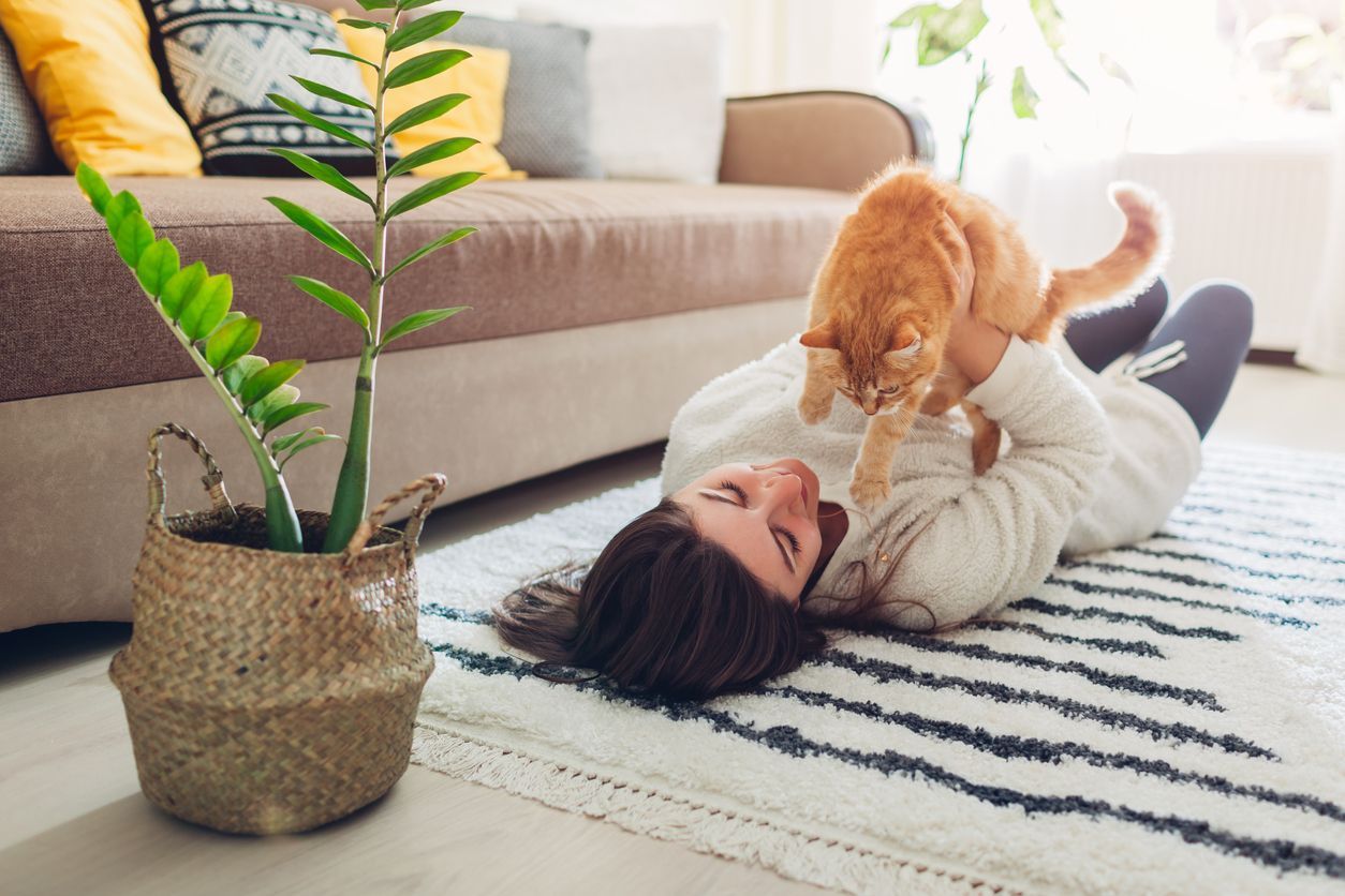 How to exercise with your cat and get fit - woman playing with cat