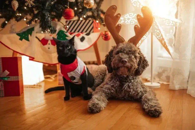 11 Holiday Items That Are Secretly Dangerous For Pets - Vetster